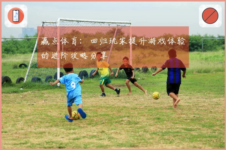 赢点体育：回归玩家提升游戏体验的进阶攻略分享