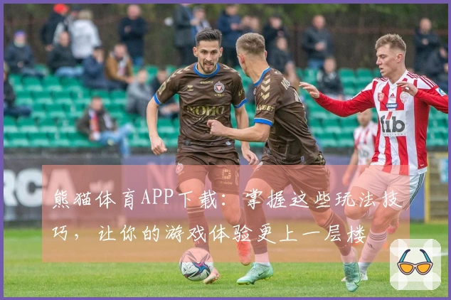 熊猫体育APP下载：掌握这些玩法技巧，让你的游戏体验更上一层楼