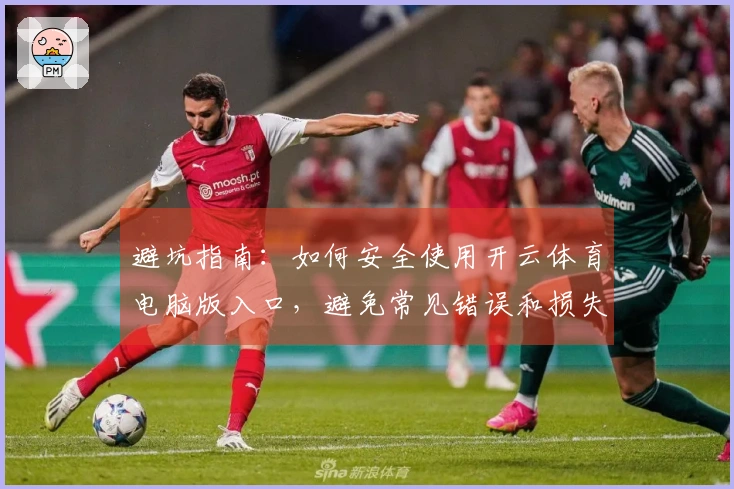 避坑指南：如何安全使用开云体育电脑版入口，避免常见错误和损失